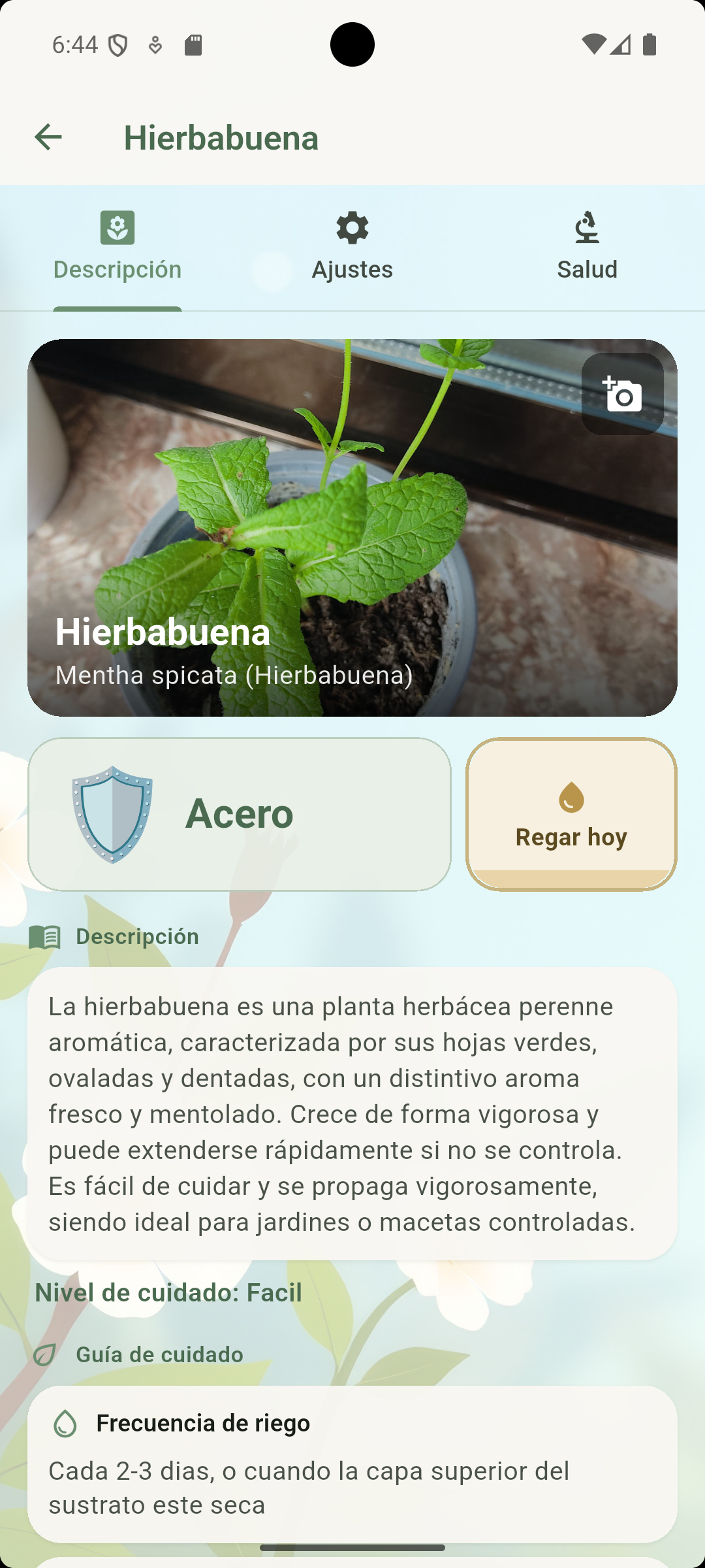 JardinerIA — Ficha Hierbabuena con descripción y guía