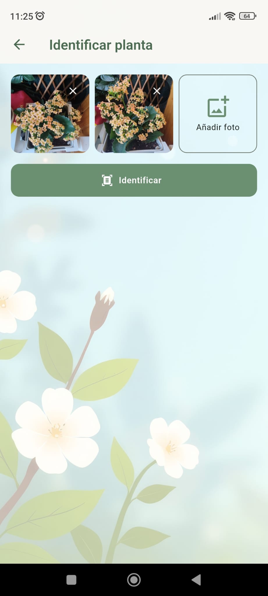 JardinerIA — Identificación botánica por foto