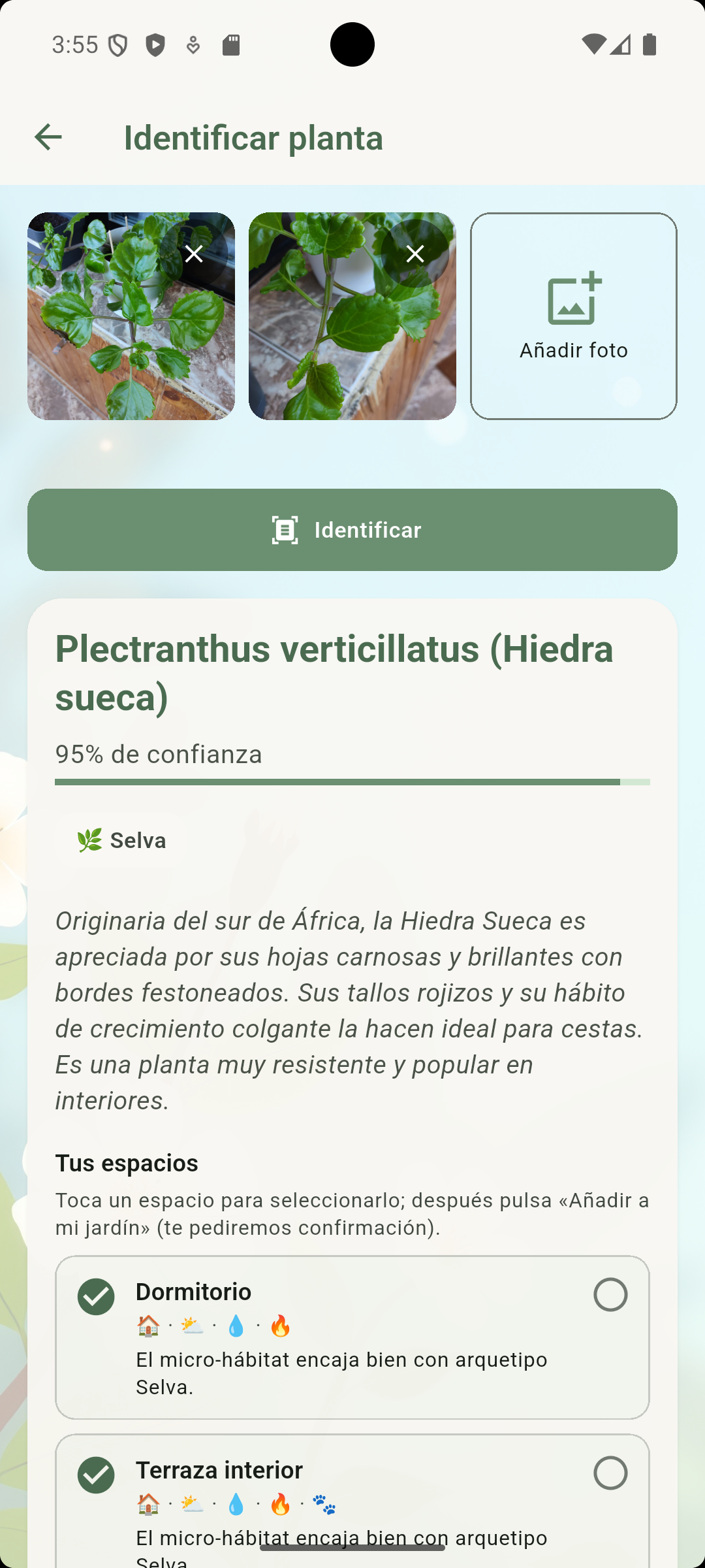 JardinerIA — Identificación botánica por foto
