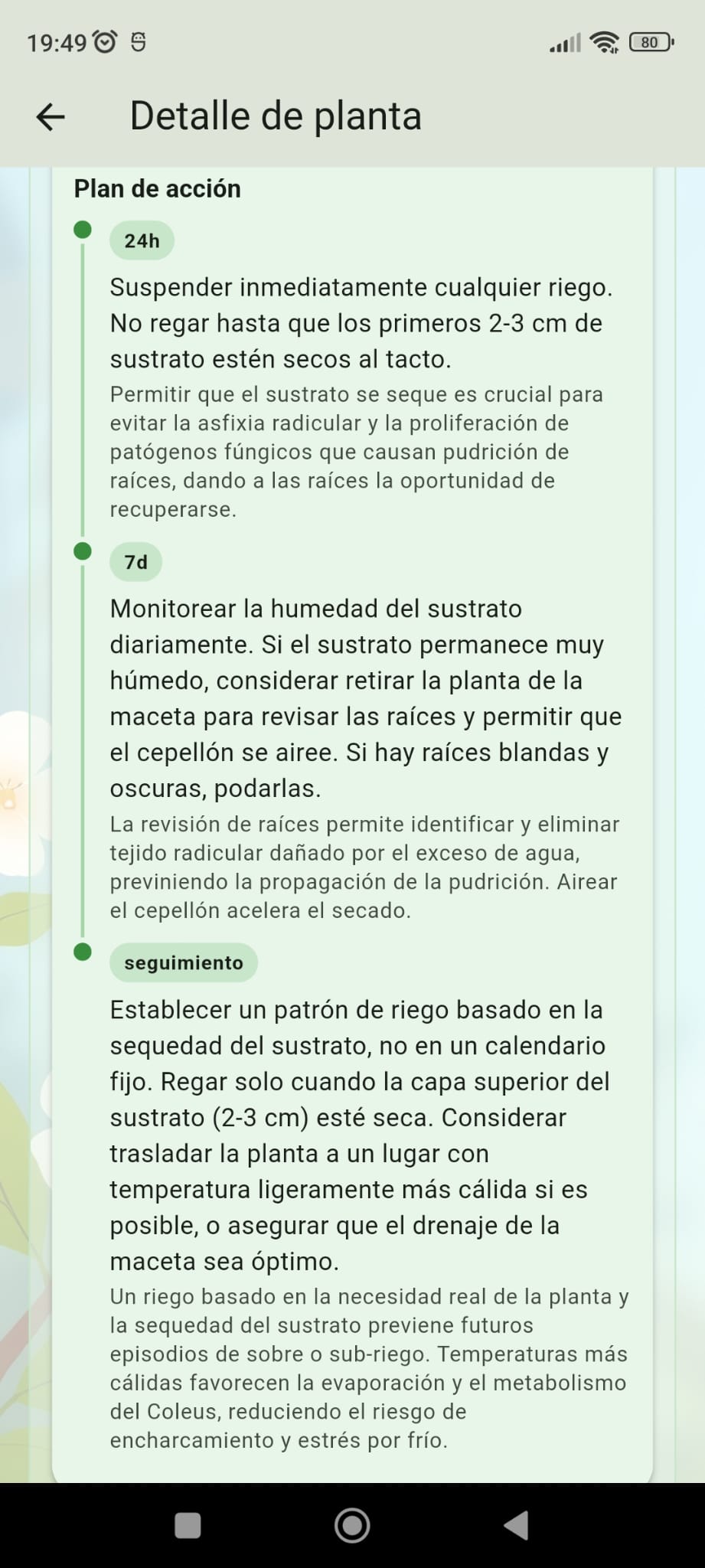 Plan de acción con línea de tiempo y pasos numerados por plazos.