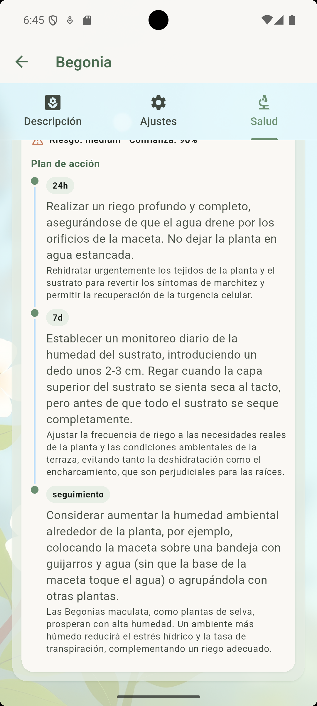 JardinerIA — Plan de acción por fases tras el diagnóstico